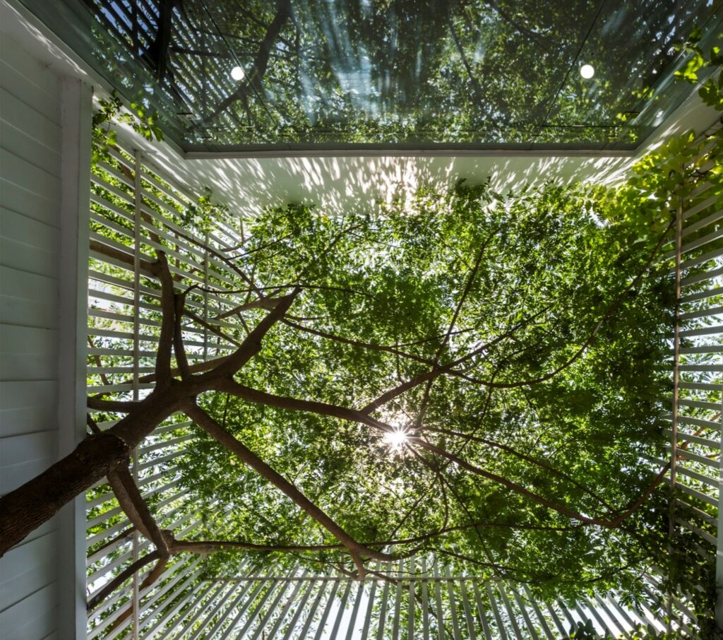 Nieuw leven voor een maatschappelijk icoon