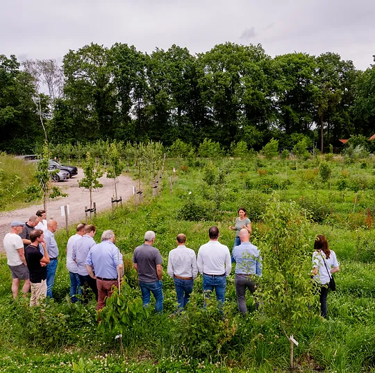 Schevichoven, Leersum